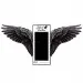 Jolash Black Feather Lashes Rzęsy C 0.07 7 mm