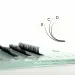 Jolash Black Feather Lashes Rzęsy Czarne D 0.10 9 mm